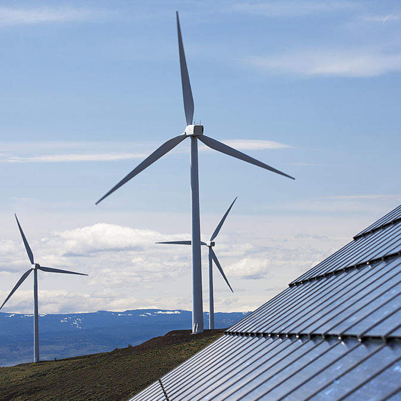 Australias 3GW CQ-H2 grønne hydrogenprosjekt mottok 10 millioner dollar i startkapital